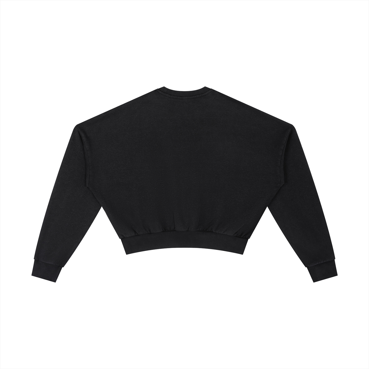ANTI_DOPAMINE Vintage WSHED Cropped Sweatshirt